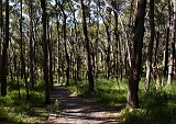 North trail near low land